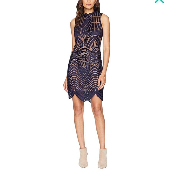 bardot alice lace bodycon dress